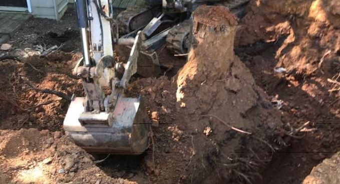 Excavator digging reddish soil beside a large tree root in a construction site