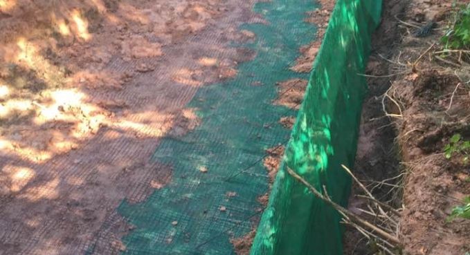 Green mesh fence lining a dirt path beside dry brush and scattered sunlight