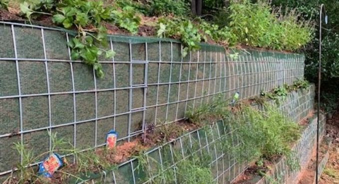 Wire mesh retaining wall with plants and small garden markers along a sloped embankment