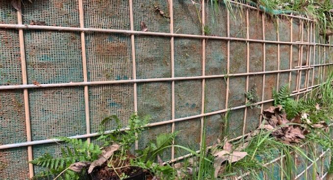 Rusty bamboo fence with green mesh and overgrown grass along a garden edge