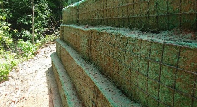 Terraced stone retaining wall along a wooded dirt path in sunlight