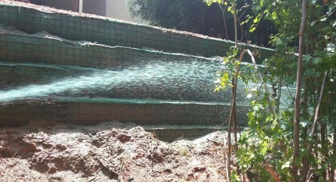 Sunlight through a green netting fence over a dirt slope with plants and trees