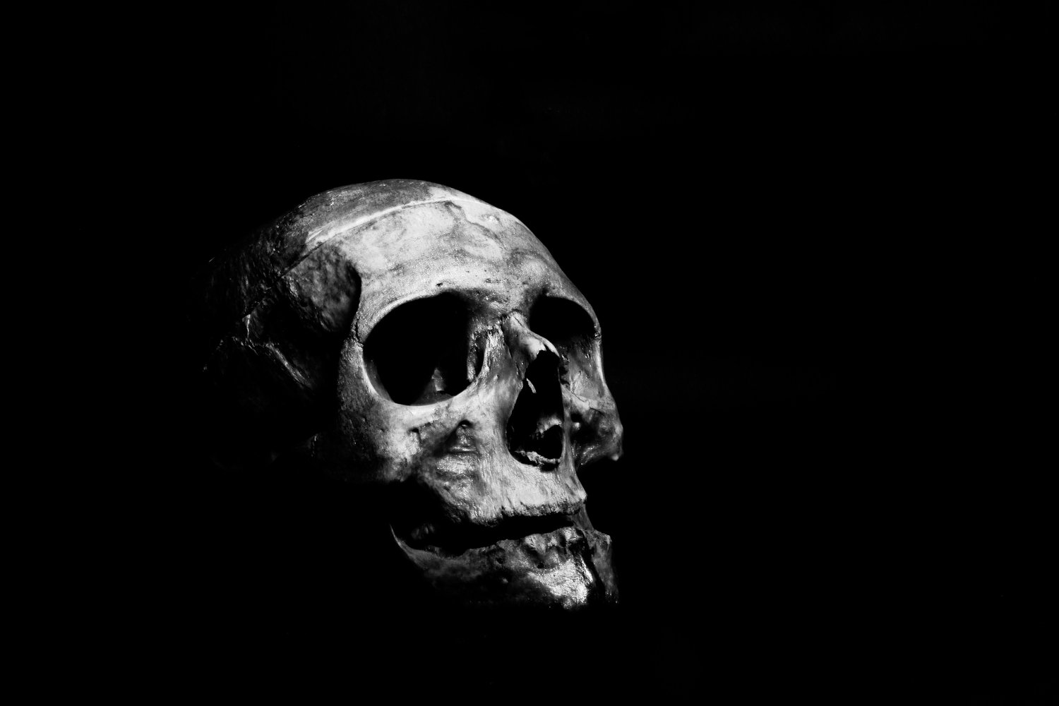 Grayscale human skull isolated against a black background