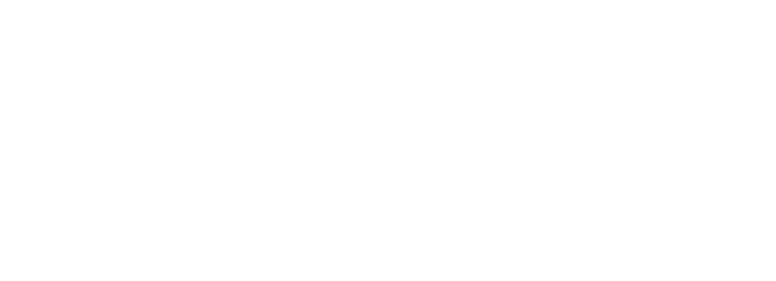 a white background for Northstar Assisted Living Advisors logo