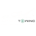 twing service logo