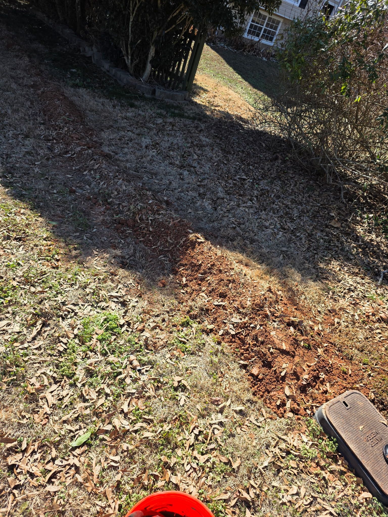 Leaf-covered hillside with shadows and a small wooden step in the lower right corner