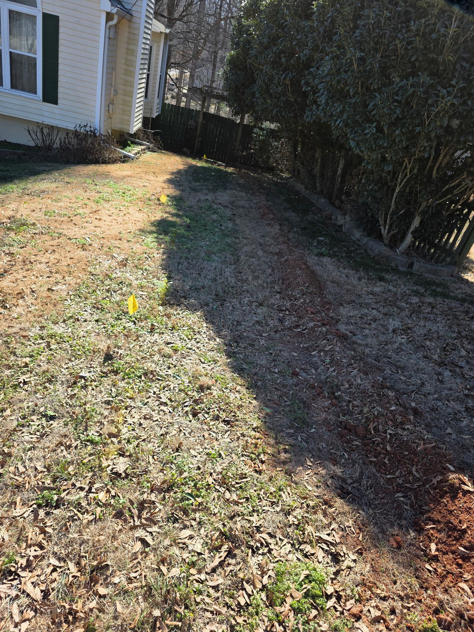 Narrow gravel path beside a house and hedges, with a leaf-covered lawn in sunlight