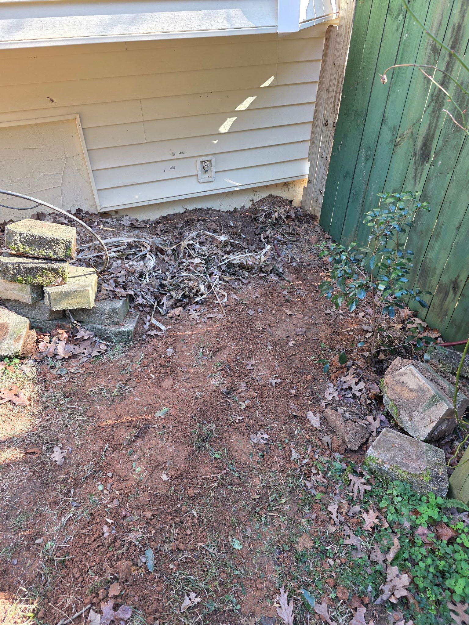 Leaf-covered dirt path beside a beige house and green fence with rocks and small plants.