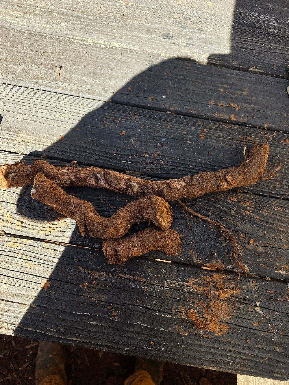 Rusty chain links on weathered wooden boards with sunlight and shadow