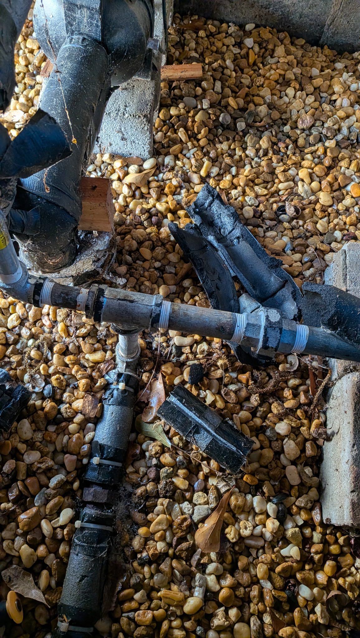 Black bird perched on gravel among blue-gray pipes and debris outdoors