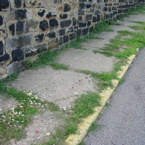 Cracked concrete sidewalk beside a stone wall, with grass growing through the gaps.