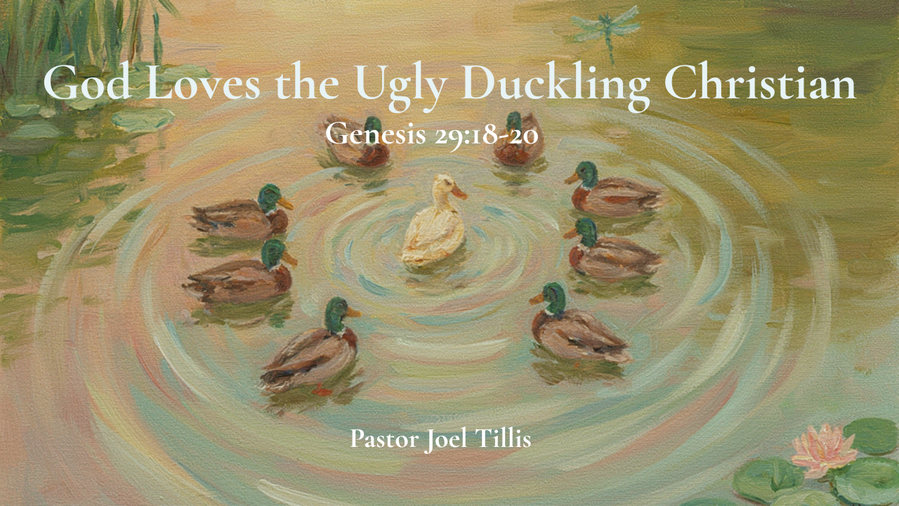 God Loves the Ugly Duckling Christian