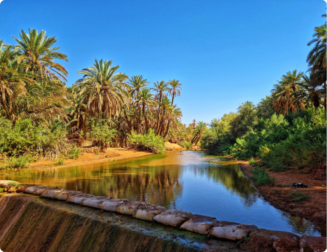 Tones of Algeria