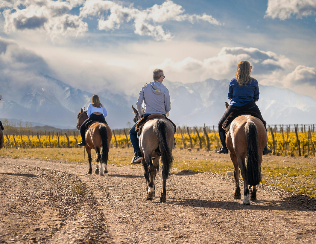 Horseback Riding
