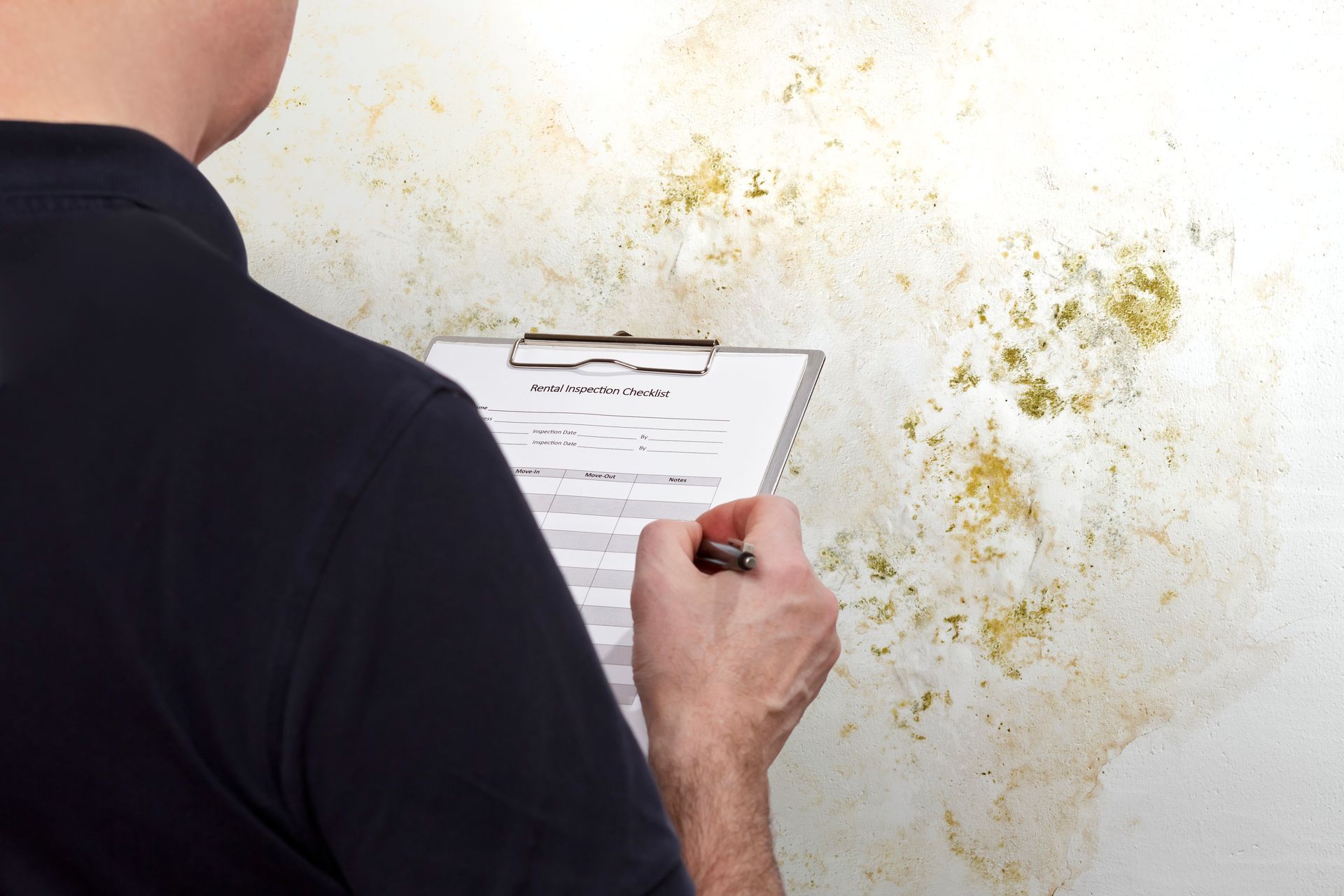 Inspector completes checklist while assessing mold damage on an interior wall. Inspector completes checklist while assessing mold damage on an interior wall.