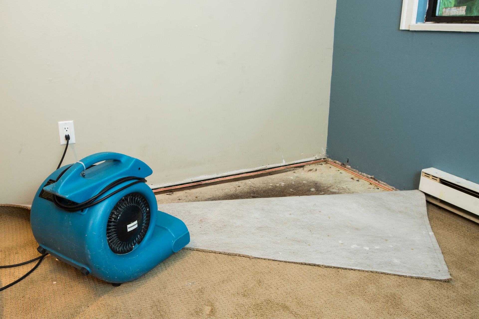 Water Damage Restoration - Xtreme Water Pros Inc.
