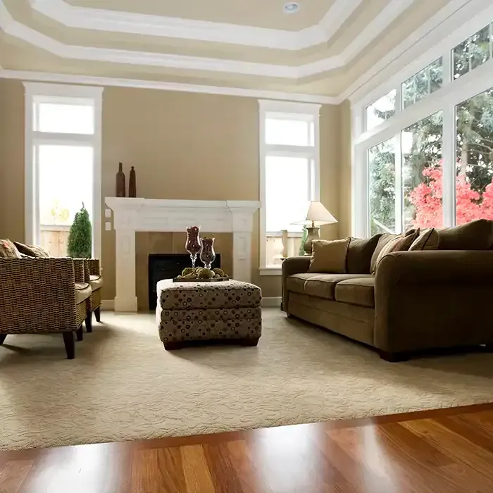 carpeted living room with hardwood flooring on the outskirt