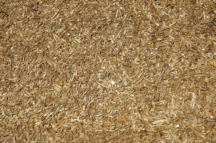 A close up of a pile of wood chips. A close up of a pile of wood chips.