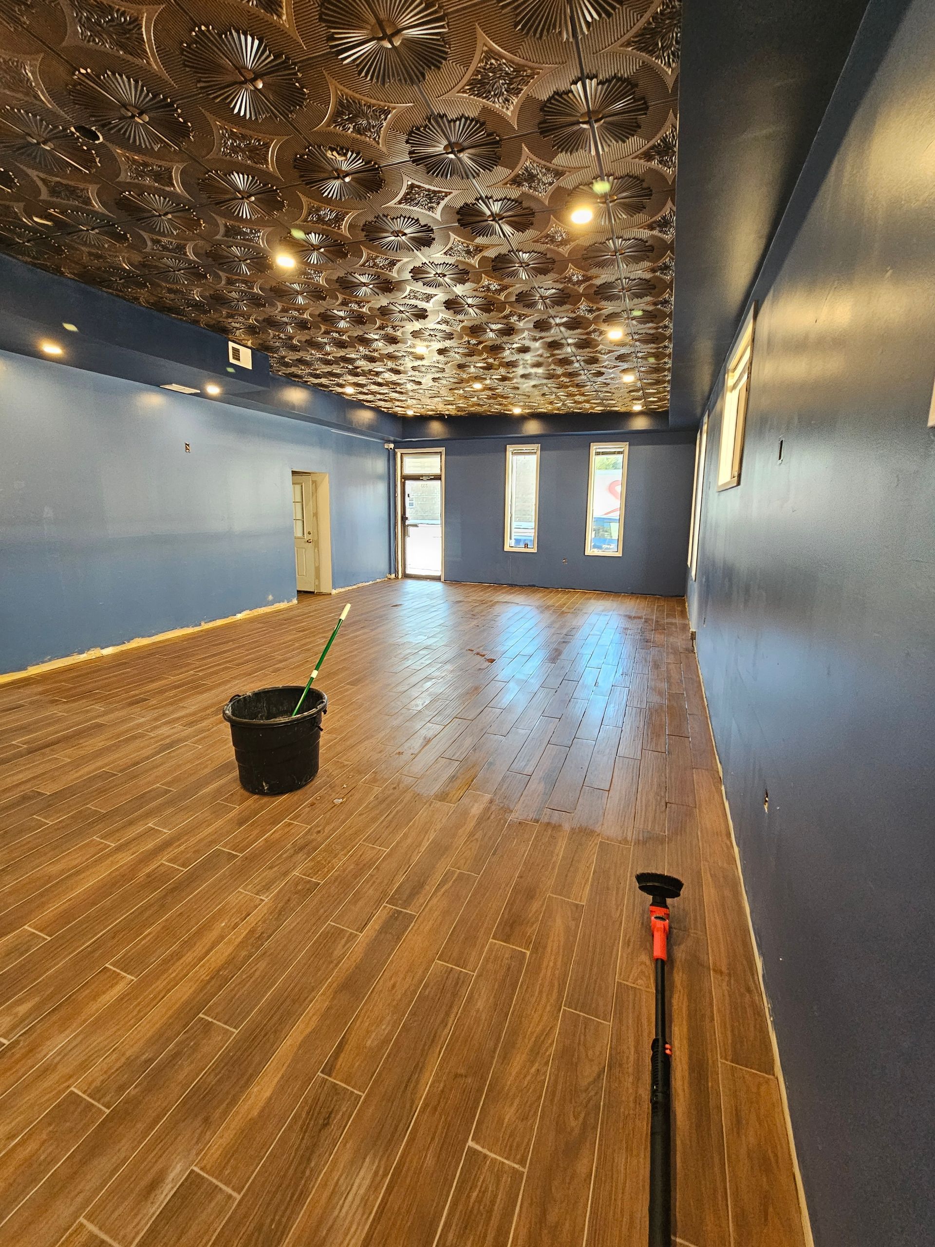An empty room with a plant in a pot and a mop on the floor.
