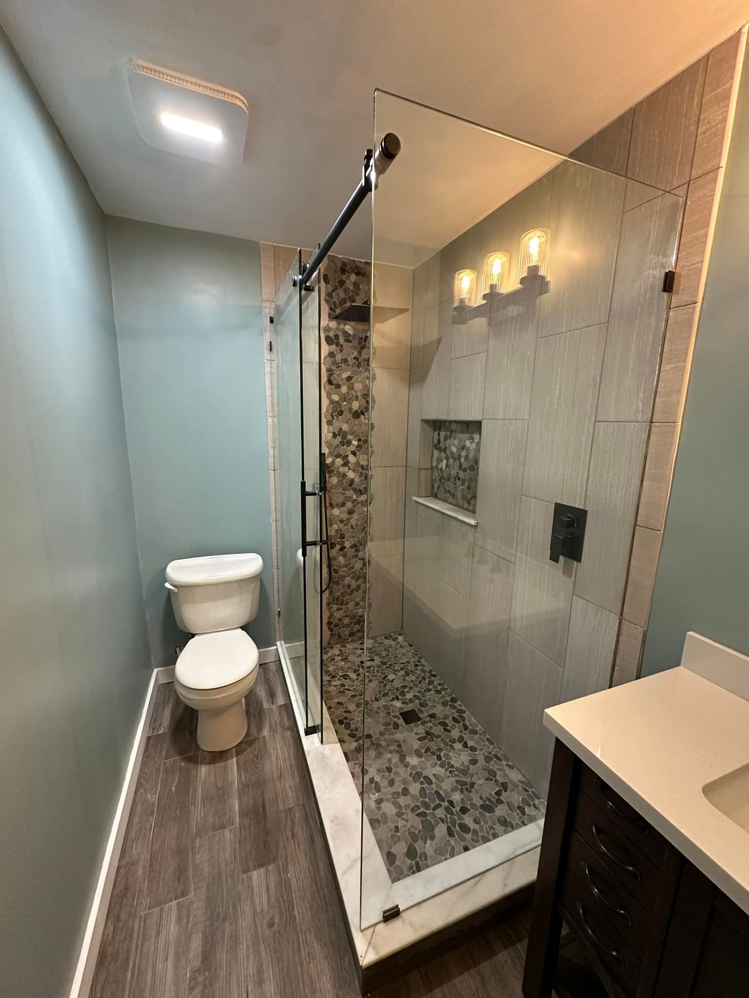A bathroom with a toilet and a walk in shower.