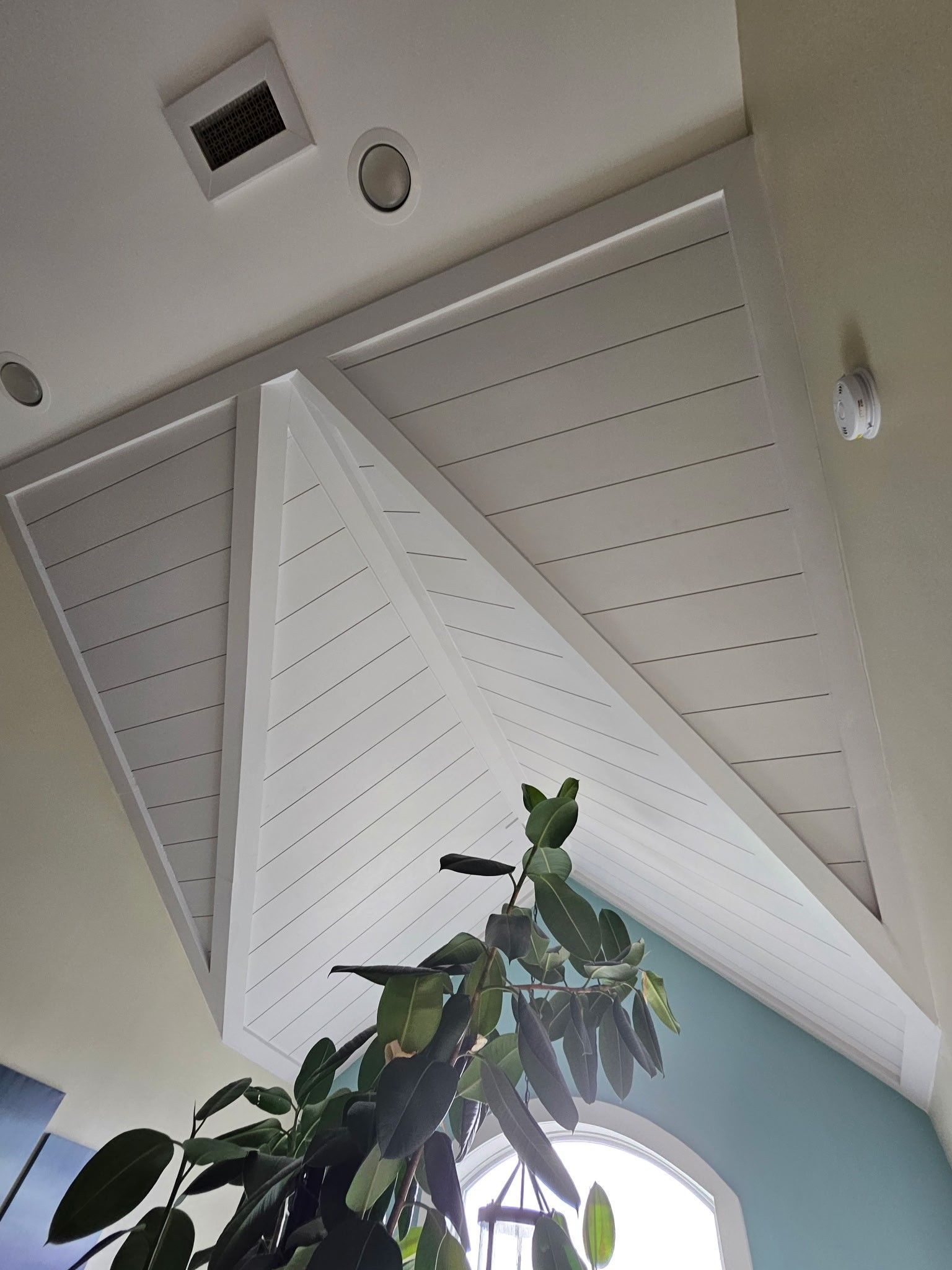 View of a white, geometric ceiling with a recessed vent and lights, with a plant in the foreground.