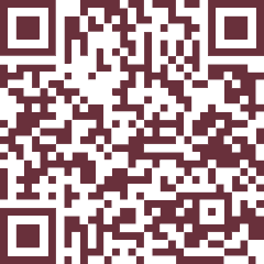 un codice QR marrone e bianco su sfondo bianco.