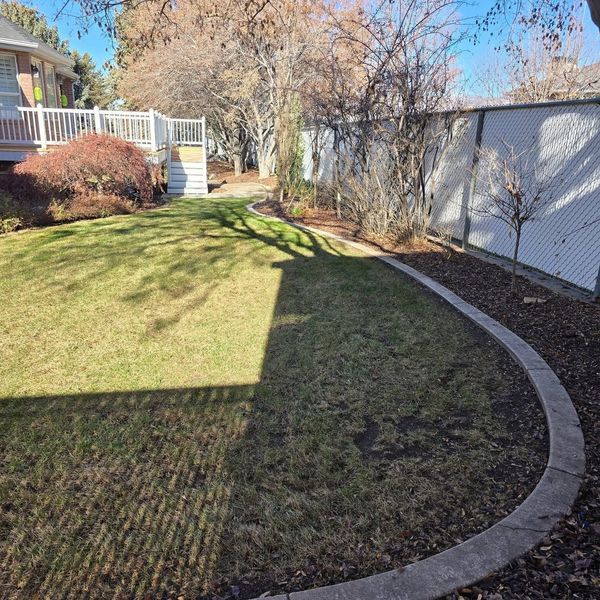 Backyard lawn with curved stone border, deck stairs, shrubs, and a white shed in bright sunlight