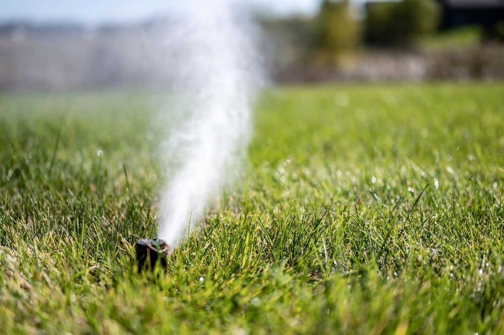 Sprinkler spraying water over a green lawn in sunlight