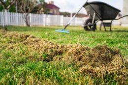 Freshly cut grass in a yard with a lawn mower and rake near a white fence
