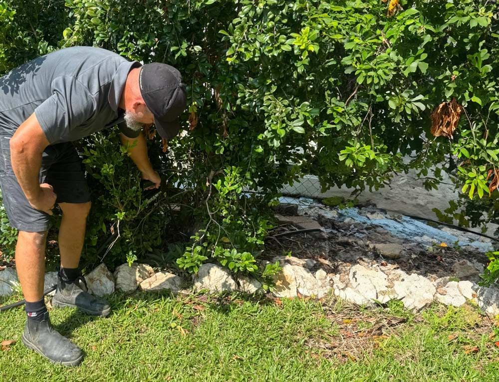 A Preventative Pest Control In Darwin Homes