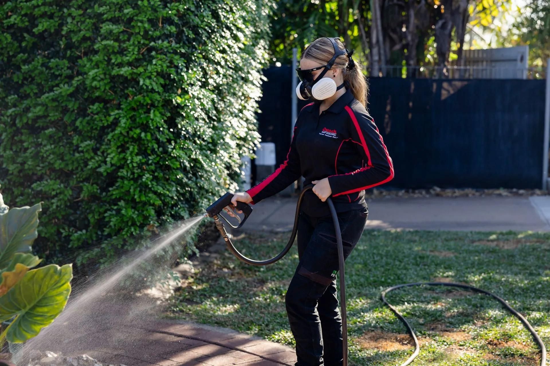 Pest Control In Darwin