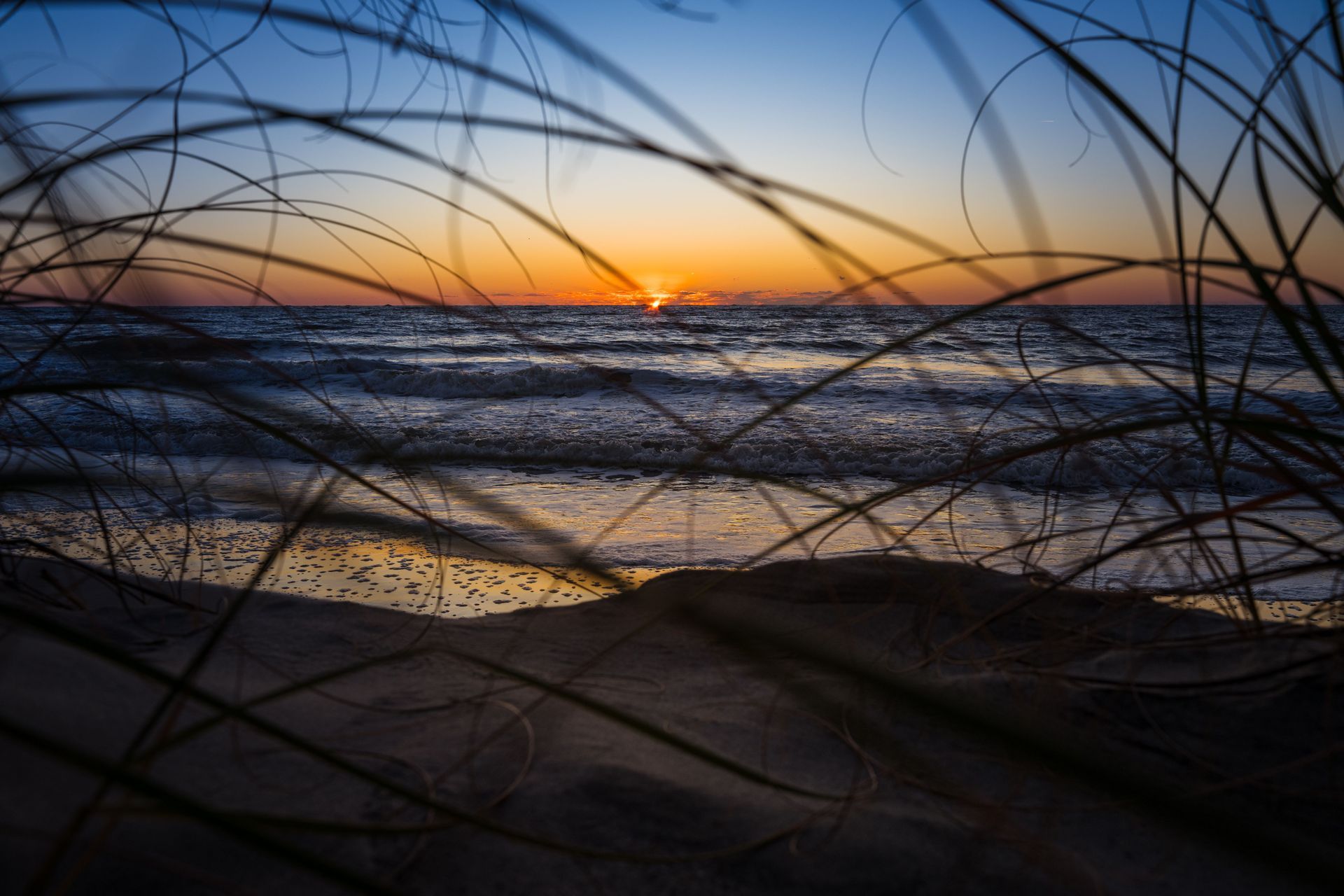 Sunset over a beach with ocean waves and silhouetted dune grass in the foreground