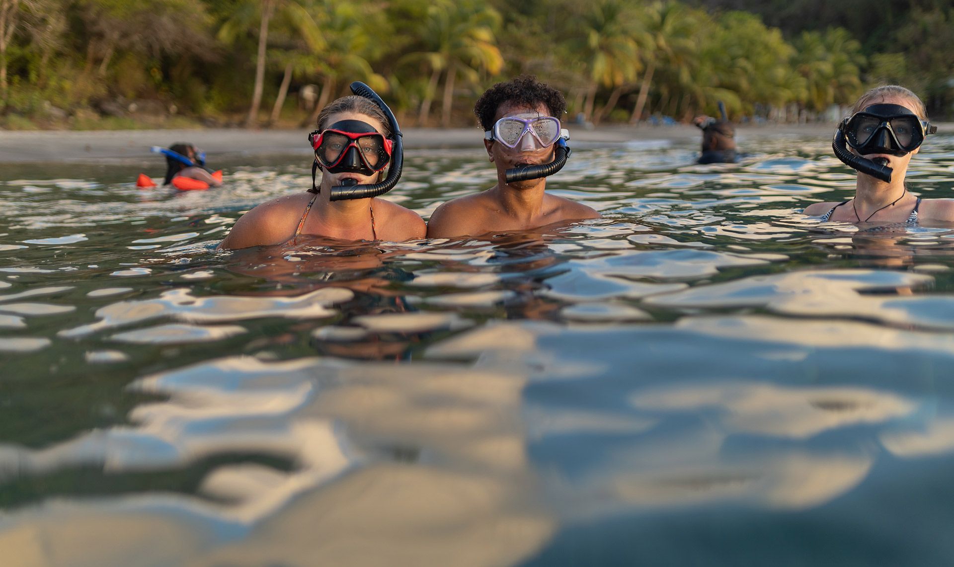 A group of people are swimming in the ocean.