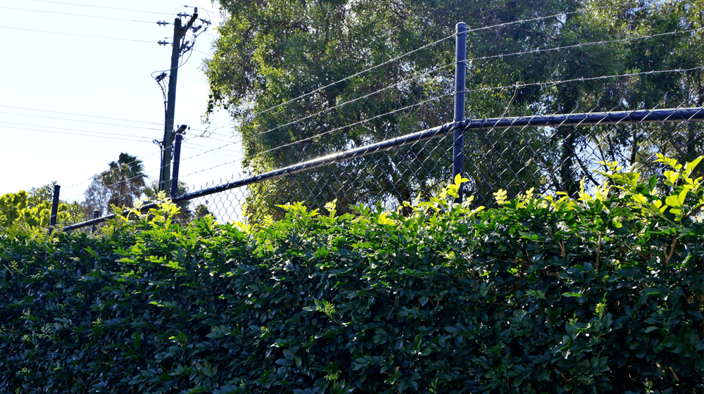 A Chain Wire Fence in front of a hedge— Byron & Beyond Fencing In Billinudgel, NSW