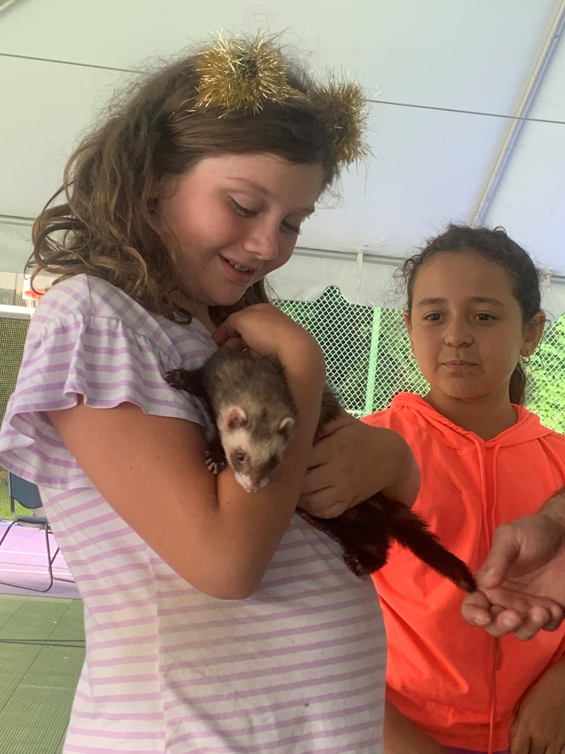 Bridgeport & Fairfield Summer Camp Wakeman Boys & Girls Club