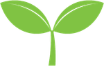 Green sprout with two leaves on a white background
