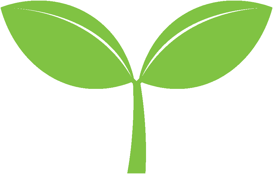Green sprout with two leaves on a white background