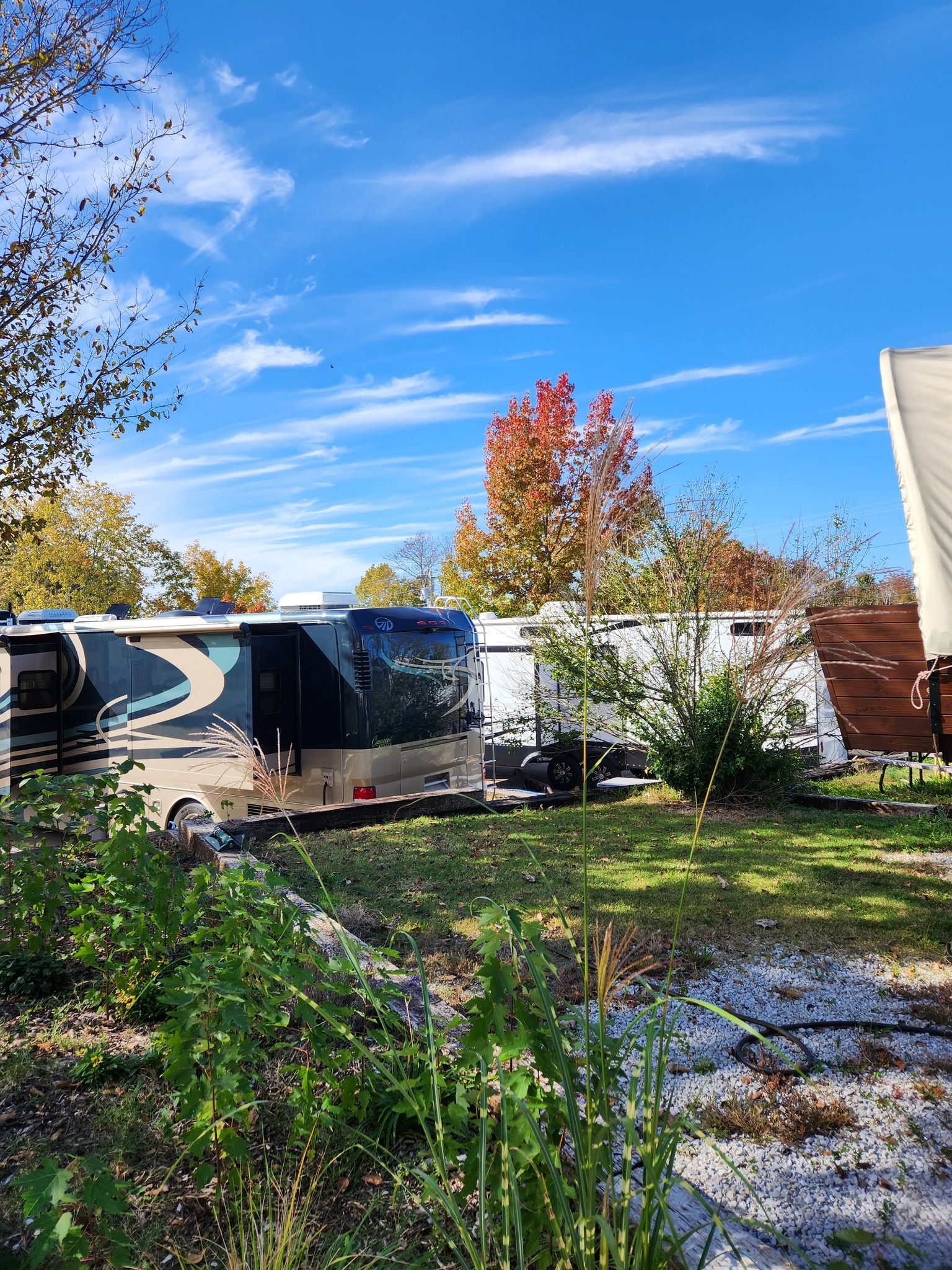 RV parked in a sunny backyard with autumn trees and a grassy, partly muddy yard