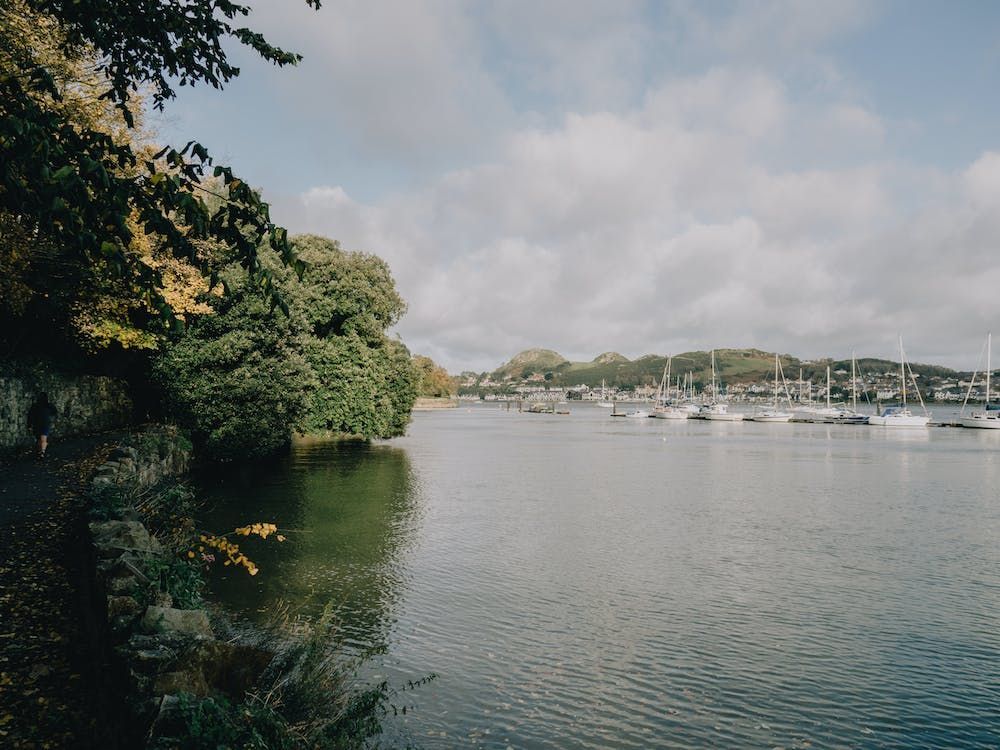 Calm waterfront with trees on the left and sailboats moored across the bay under a cloudy sky