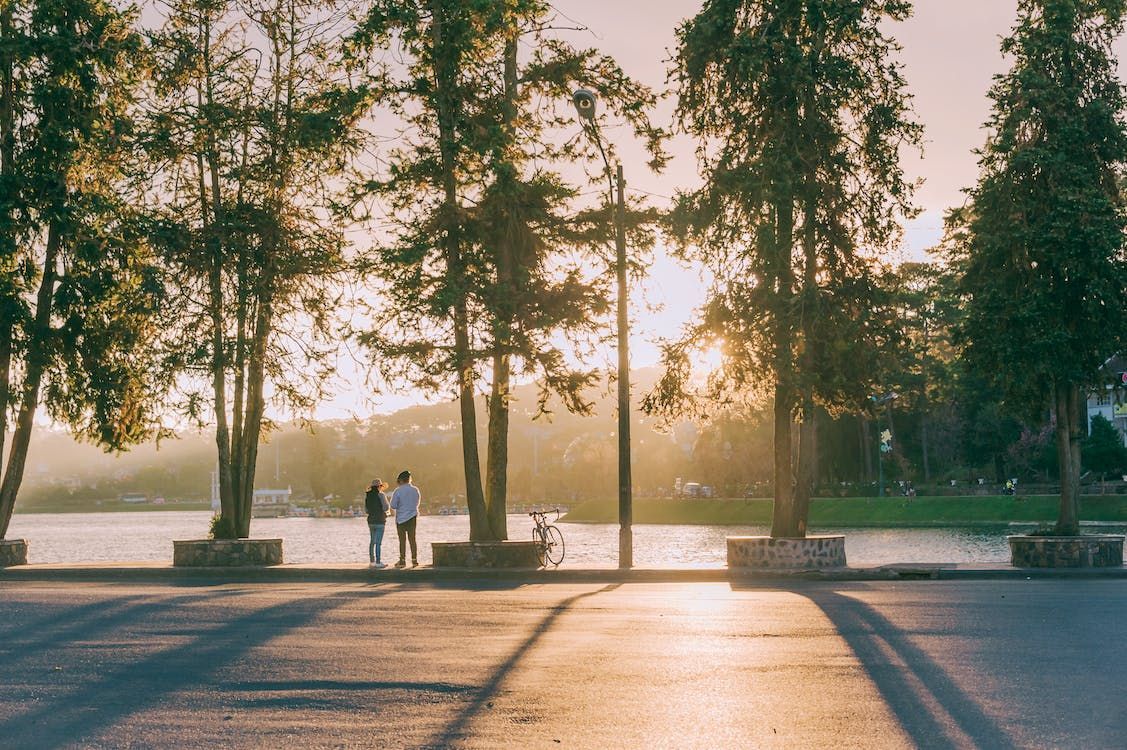 Sunlit park walkway with tall trees and two people walking in the distance