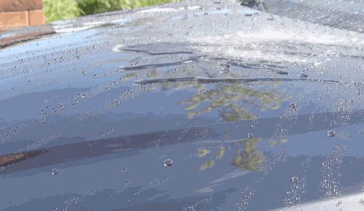 Close-up of water beading on a dark ceramic-coated car roof under natural light.