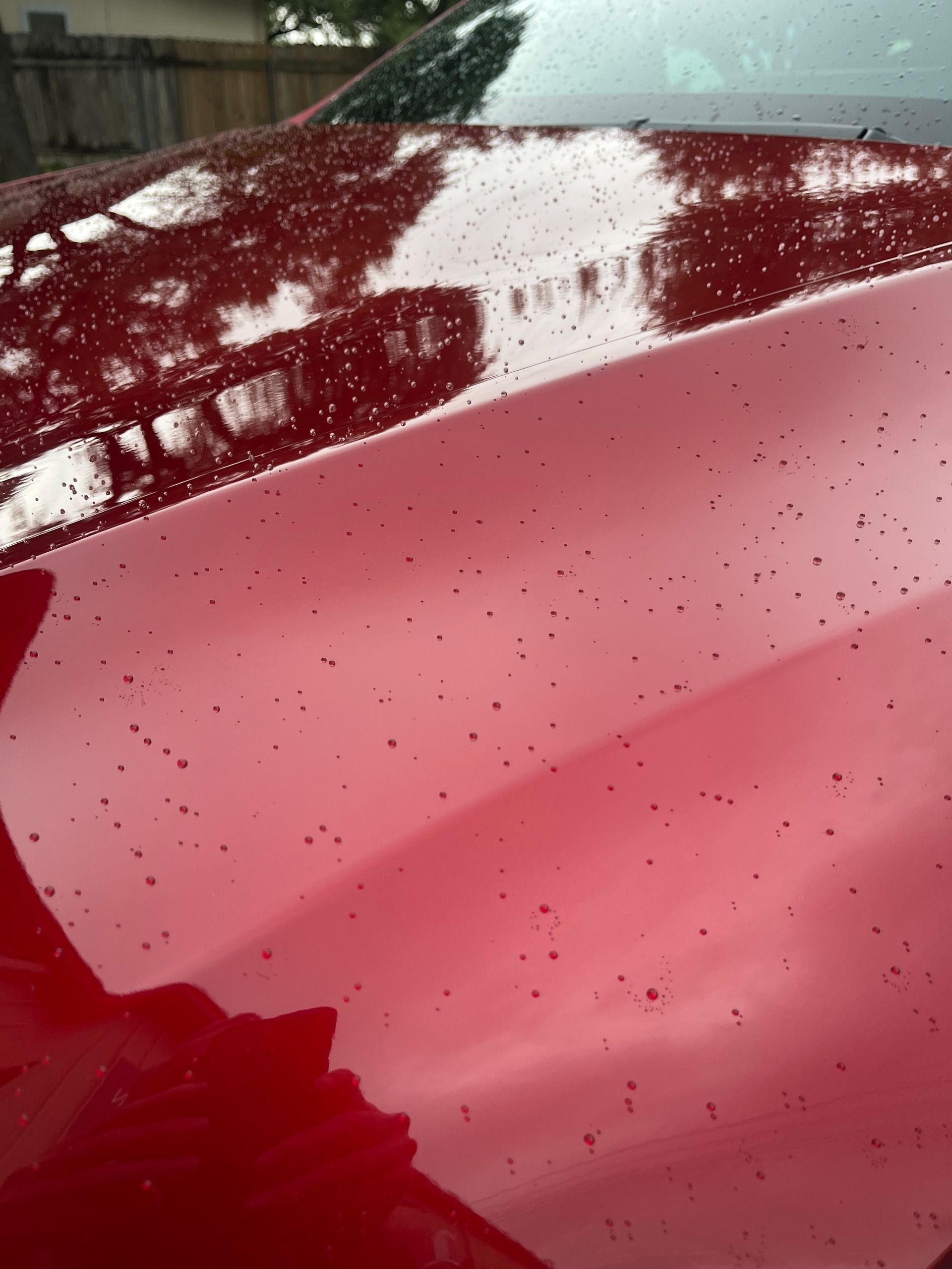 This Tesla Model Y has a Ceramic Coating from Blue Ocean Auto Spa of Cedar Park TX and is demonstrating excellent water beading in the rain.
