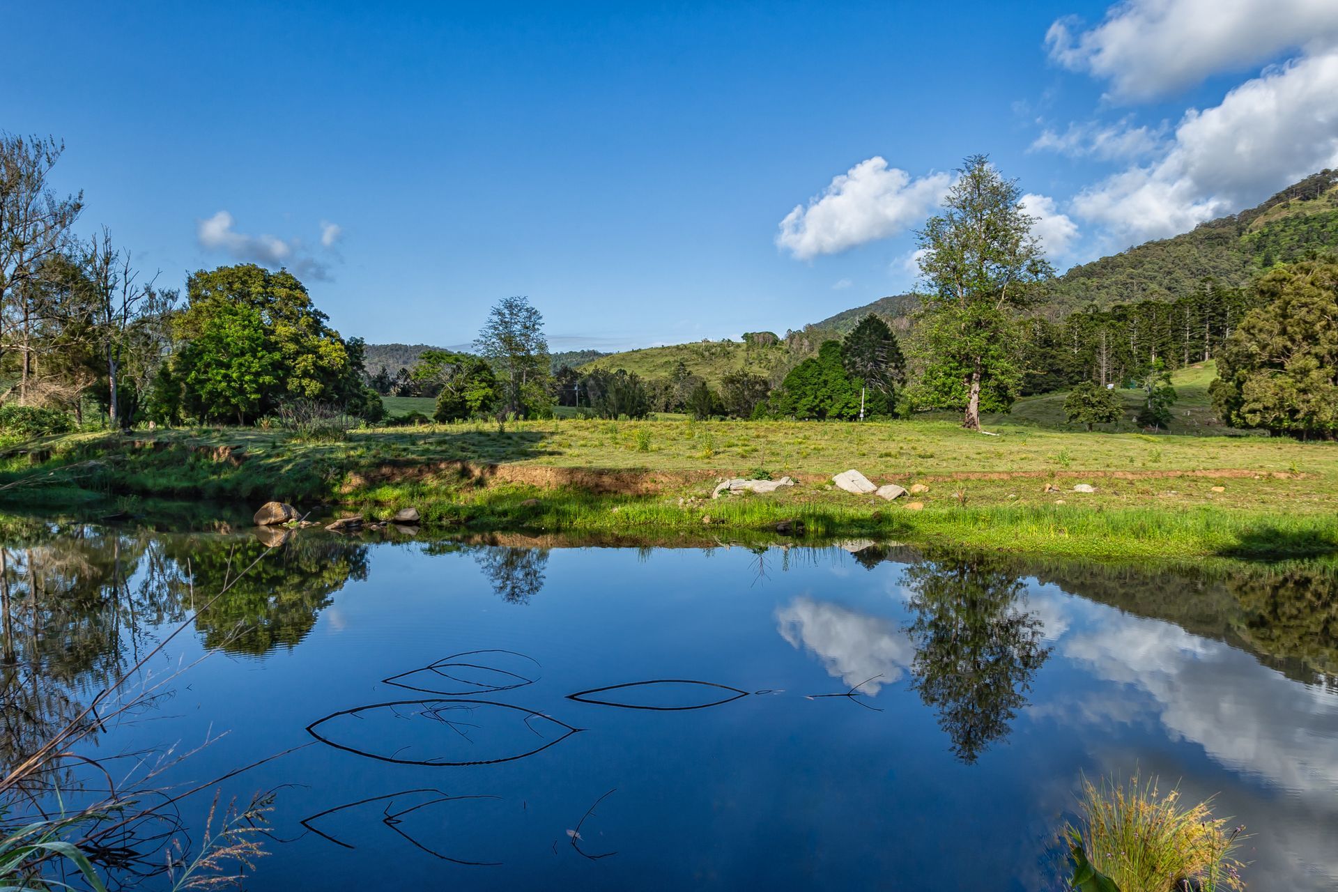 Serene Pond Reflecting Blue Sky, Clouds, Trees, and Grassy Hills — Mr Roof Tiles in Coomera, QLD