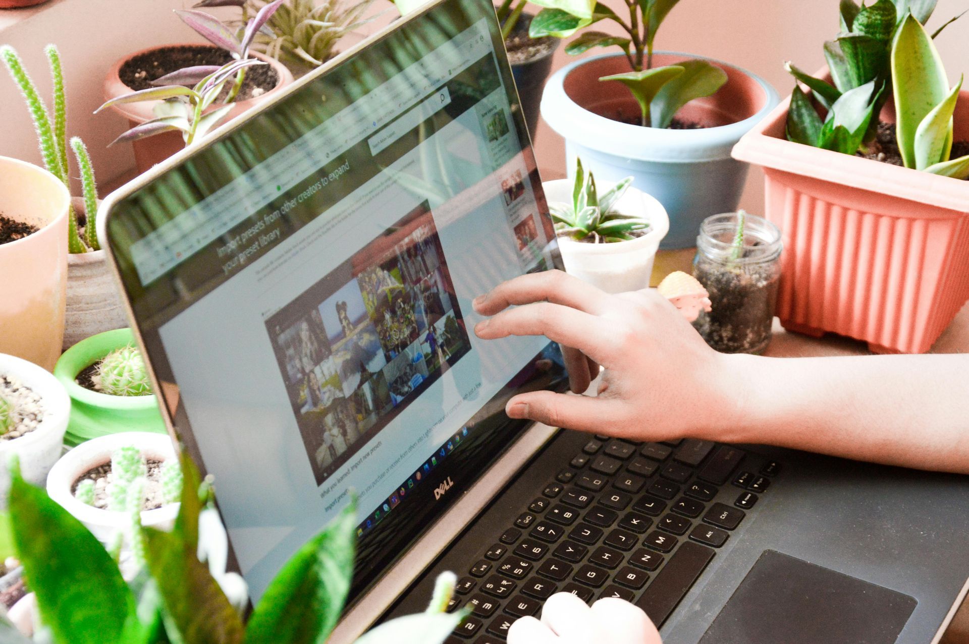 Consulta online