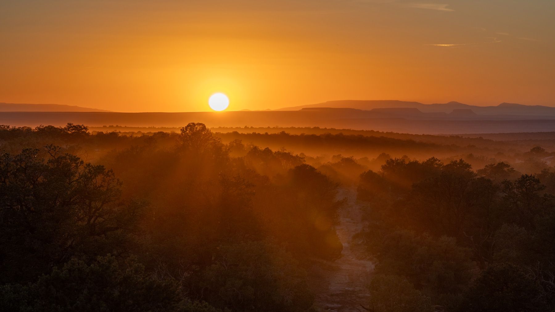 Dusty Sunset