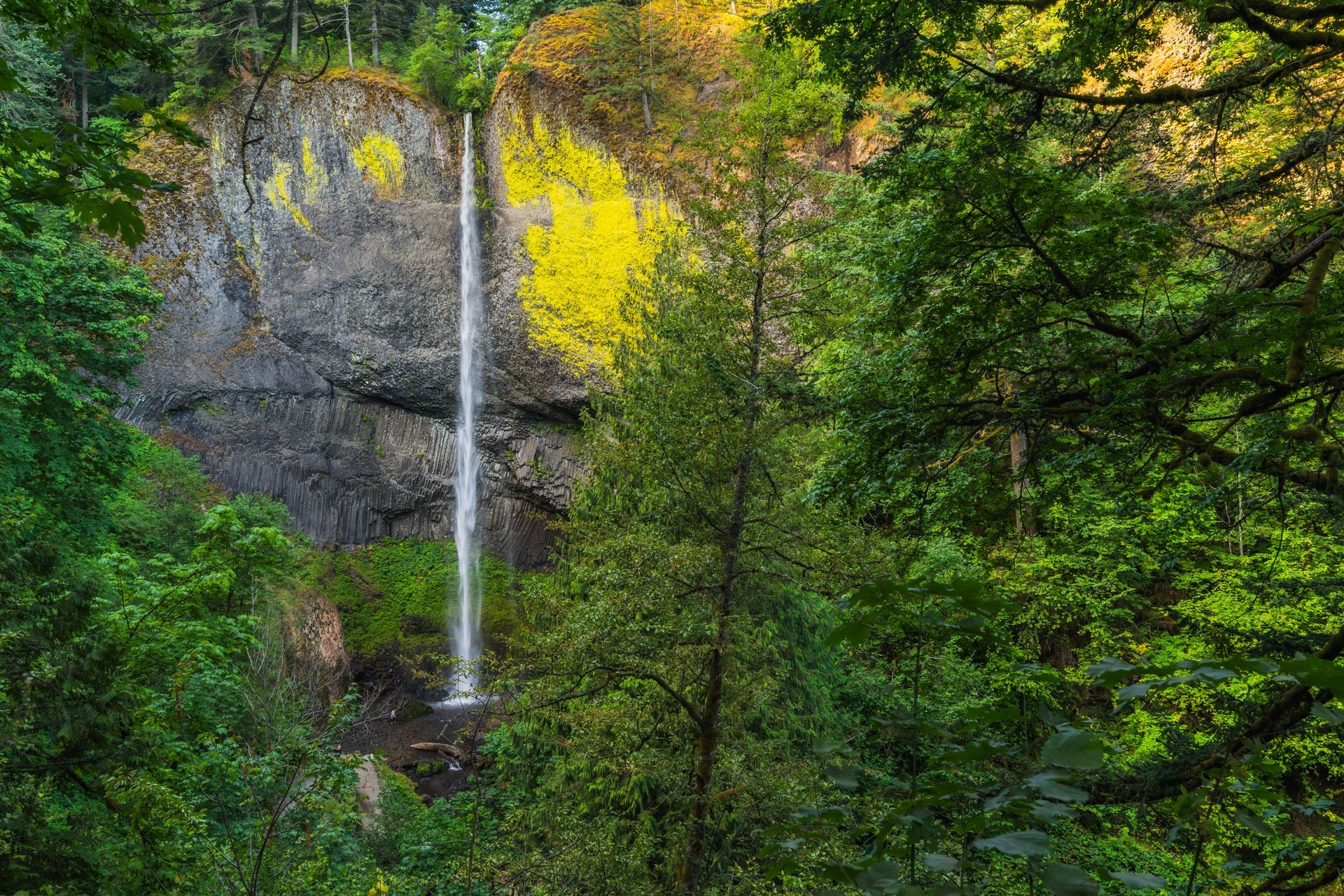 Latourell Falls