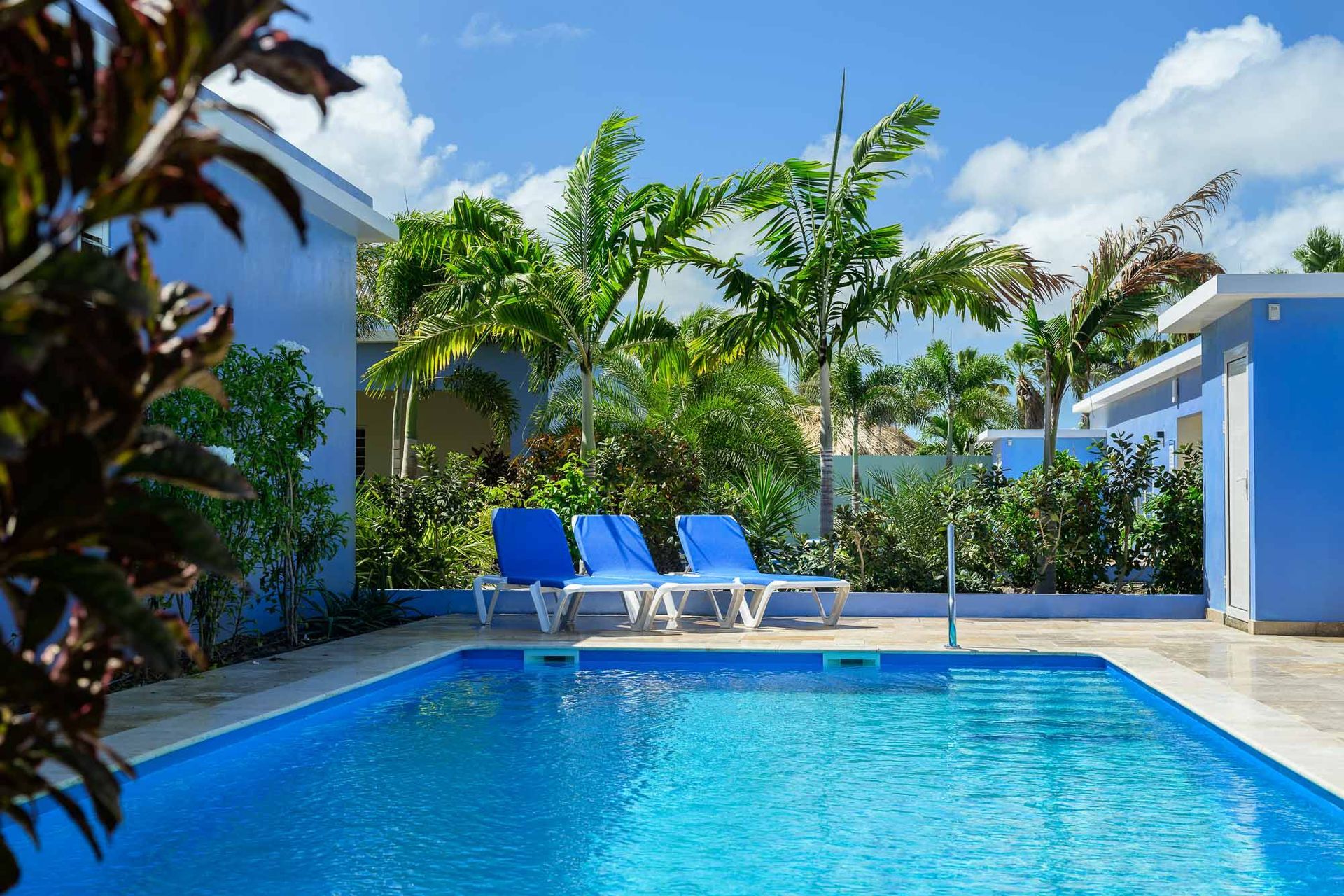 Swimming pool with three blue lounge chairs, palm trees, and blue buildings under a sunny sky.