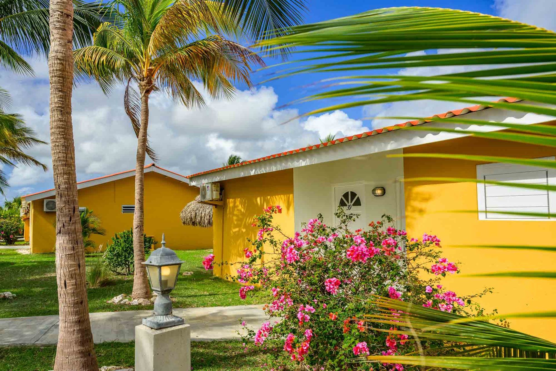 Yellow buildings with white trim, tropical flowers, palm trees, and blue sky.