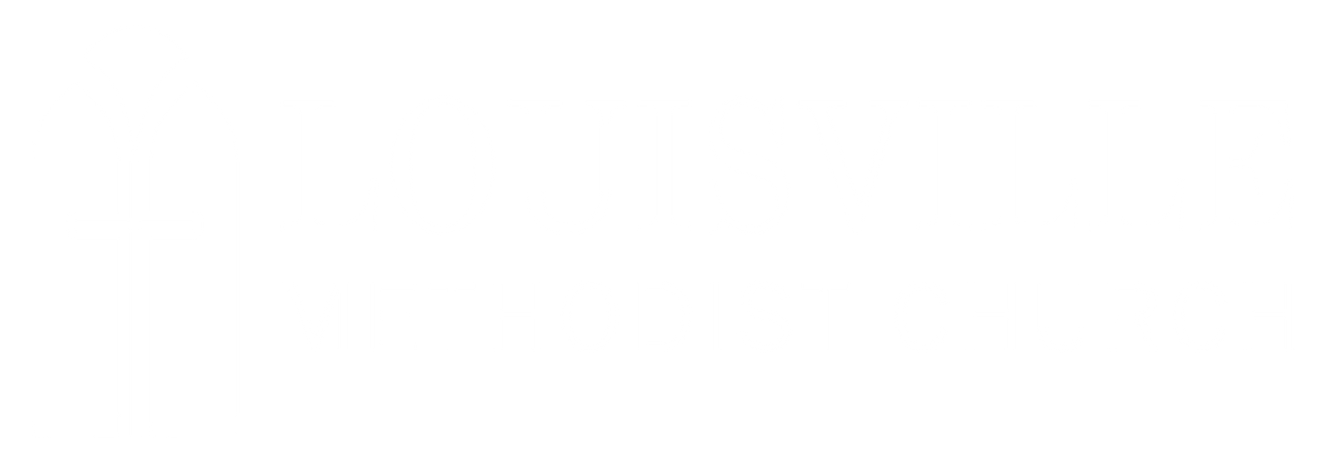 LMC Logo (white letters)