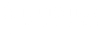 LMC Logo (white letters)